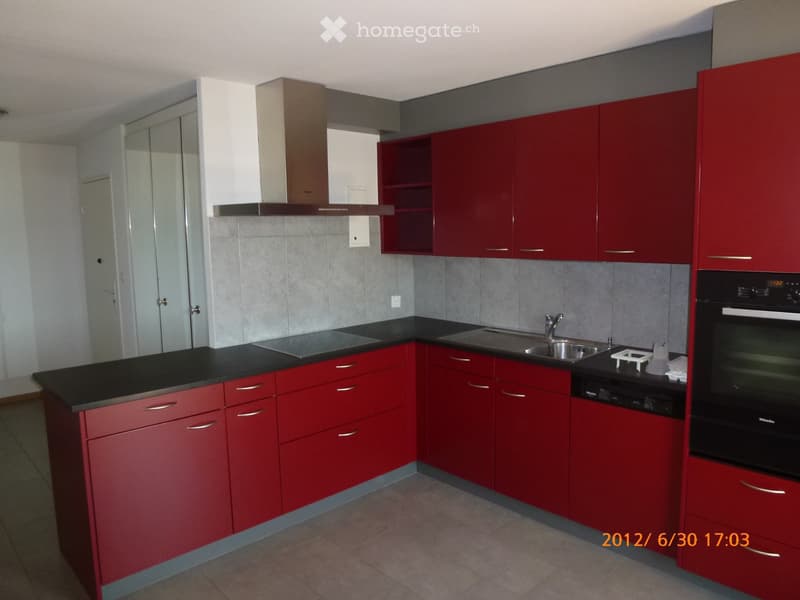 Superbe et grand appartement de 3 ½ pces (2)