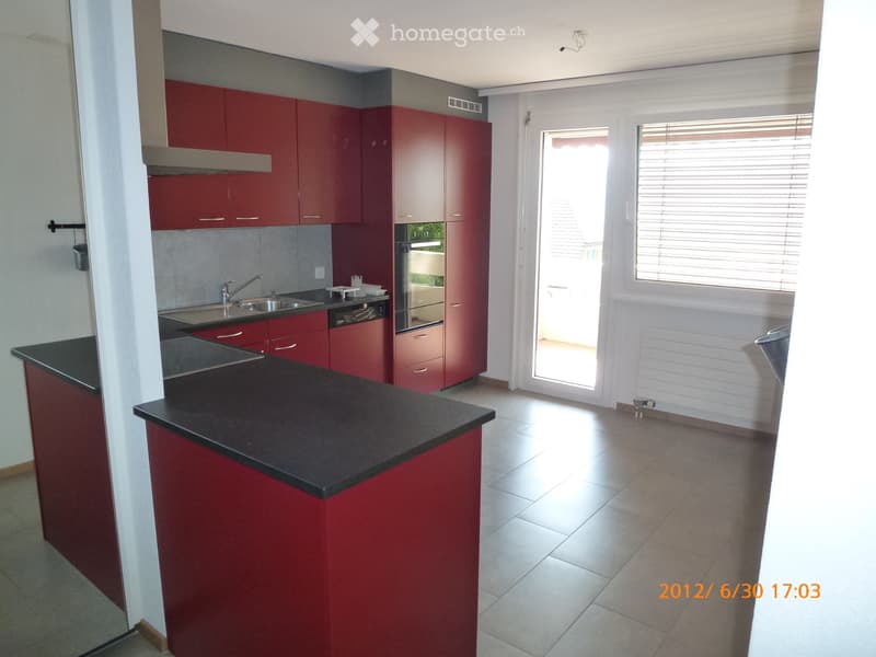 Superbe et grand appartement de 3 ½ pces (1)