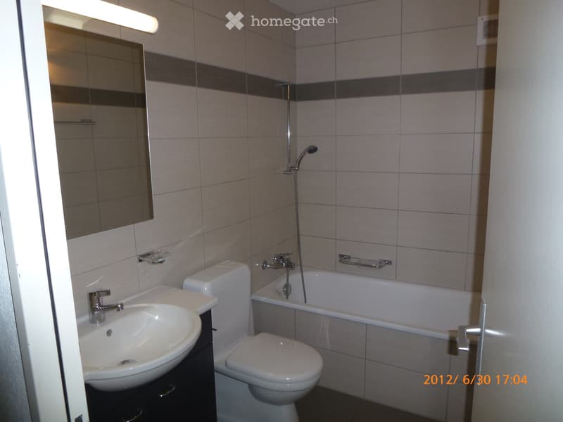 Superbe et grand appartement de 3 ½ pces (5)