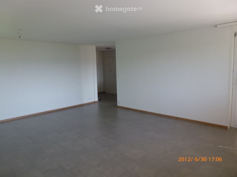 Superbe et grand appartement de 3 ½ pces (4)