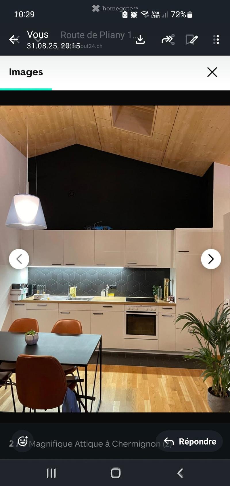 2.5 pièces attique (2)