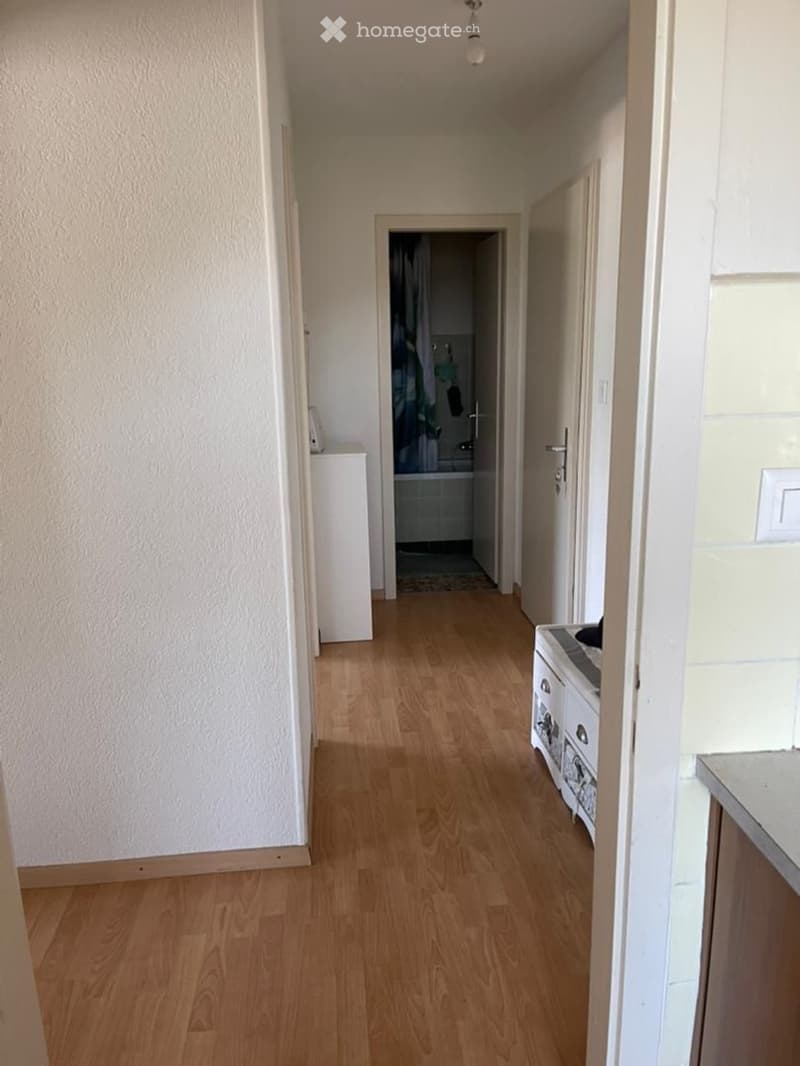 Sous location 2,5 à Monthey (4)