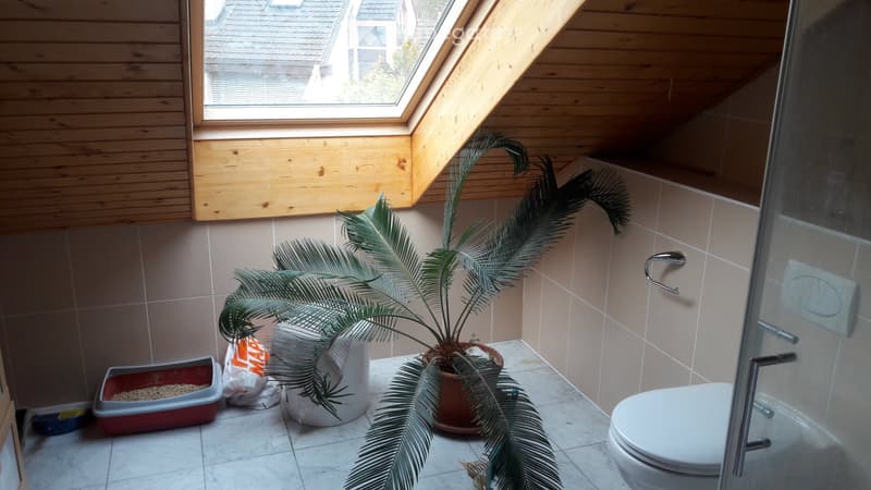 Magnifique chambre de 15m2 au Mont sur Lausanne (5)