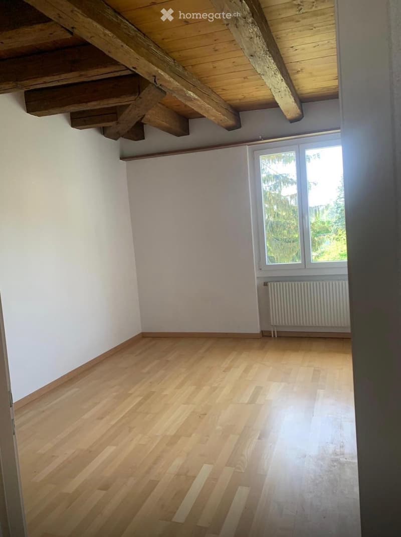 Magnifique appartement (3)