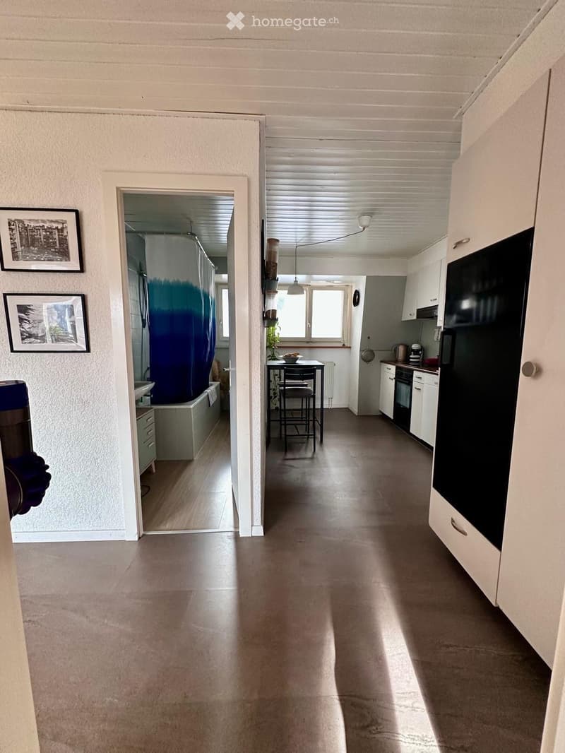 Magnifique appartement (2)