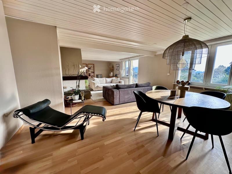 Magnifique appartement (5)