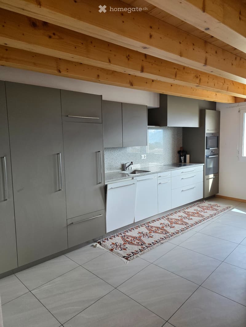Spacieux et lumineux 2.5 pces (2)