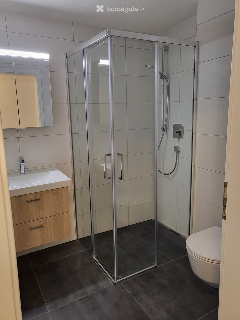 Wohnung zu vermieten (4)