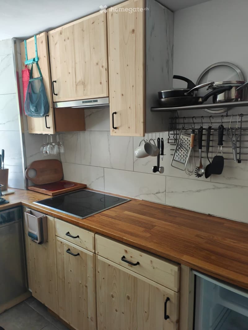 Appartement 3.5P Location Estivale. MAI,JUIN, JUILLET, AOUT (3)