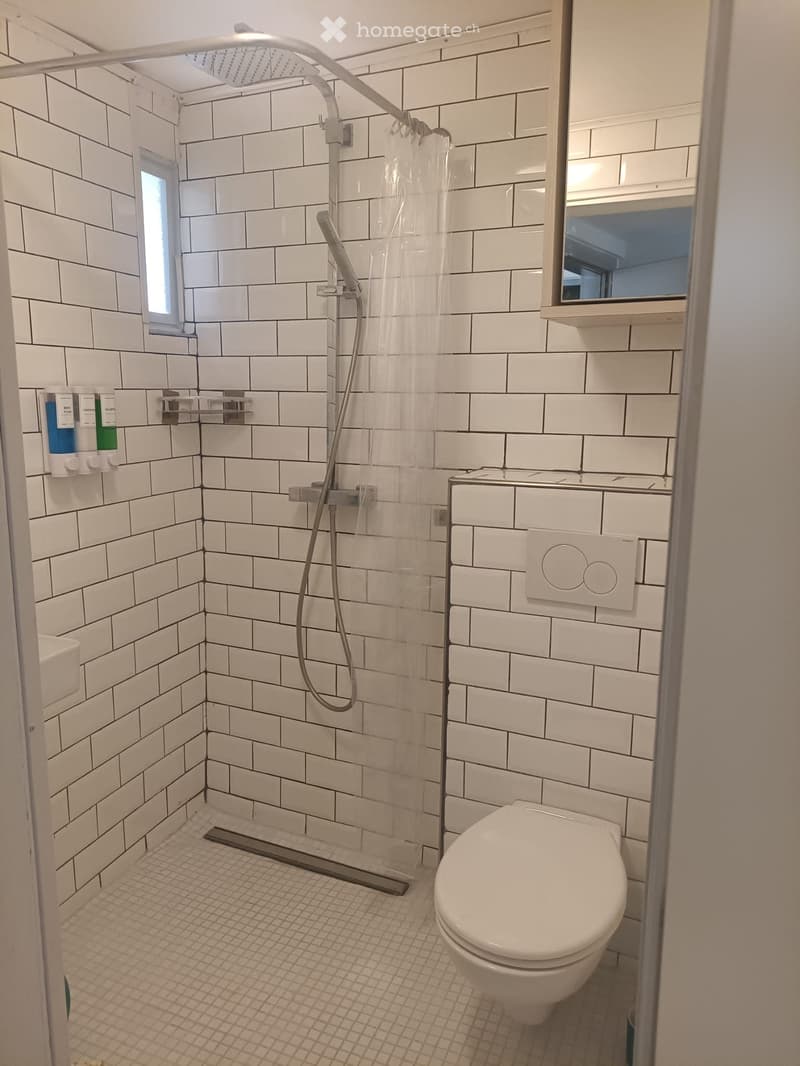 Appartement 3.5P Location Estivale. MAI,JUIN, JUILLET, AOUT (5)