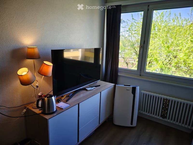 Studio lumineux à Gland, Vaud - disponible juillet (2)