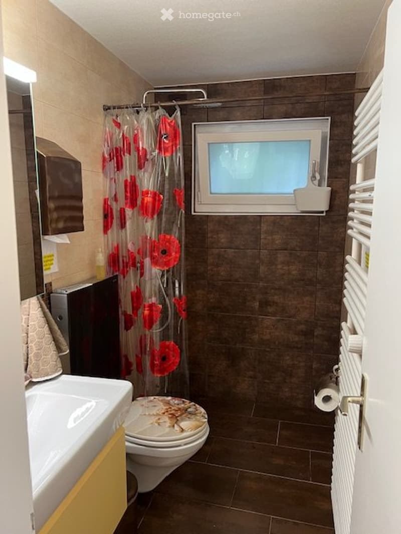 Appartement, 40m2,  meublé et aménagé, 1 personne ou couple (5)