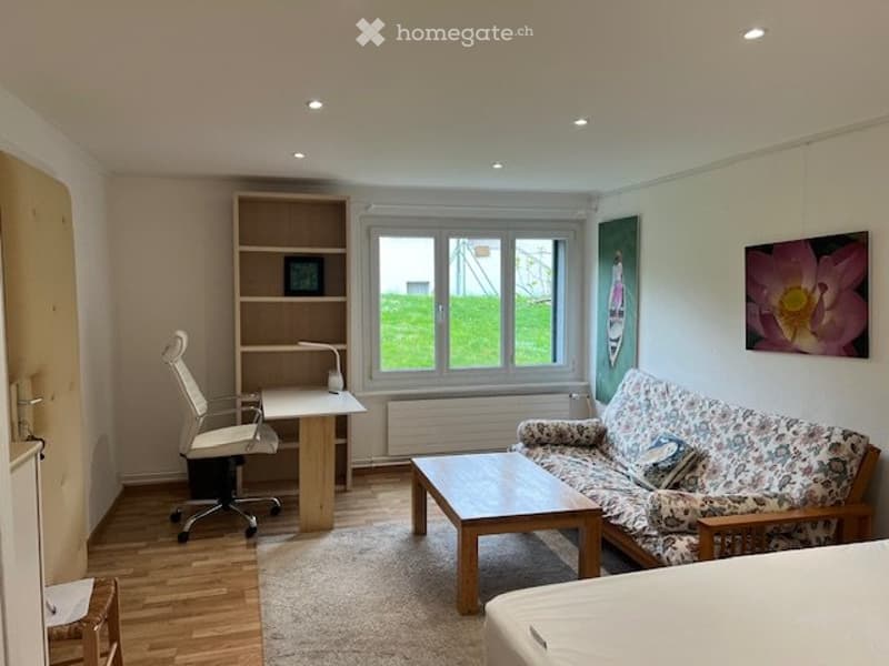 Appartement, 40m2,  meublé et aménagé, 1 personne ou couple (2)