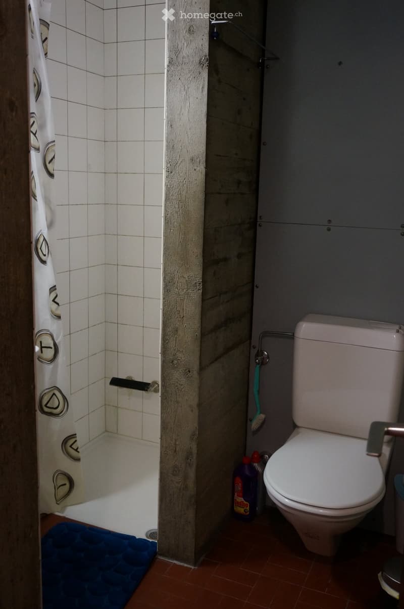 Grand Studio meublé et équipé au Locle (3)