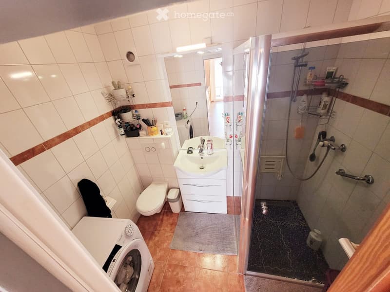Appartement 3.5 pièces à louer (5)