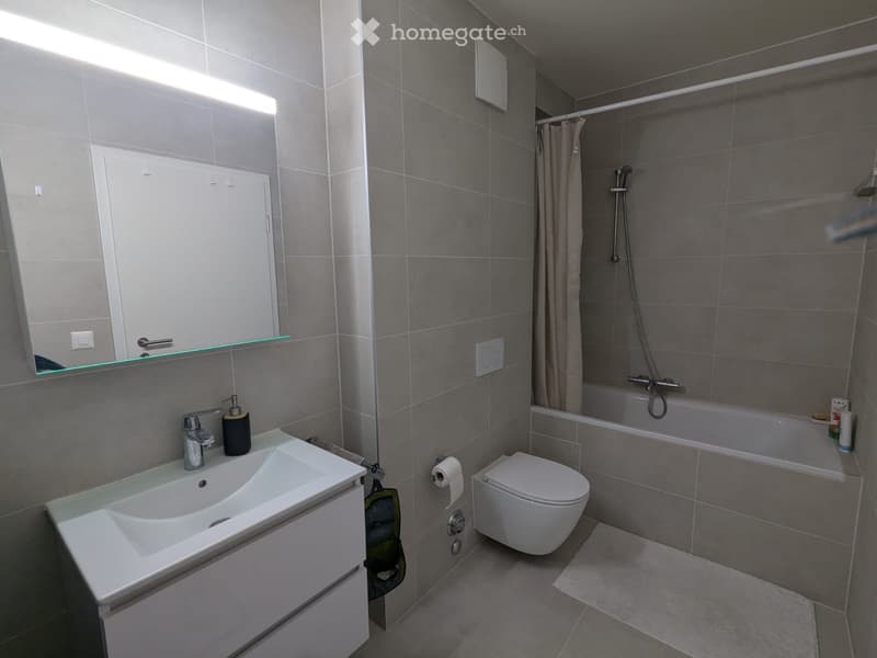 Très bel appartement de 3 p à 2 pas de la gare Lancy Bachet (5)