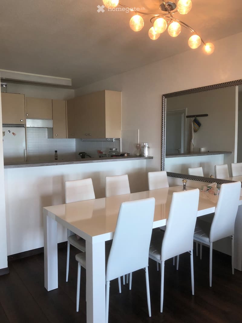 Appartement vue sur le lac léman (3)