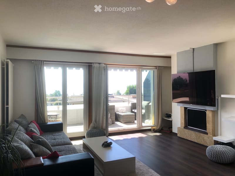 Appartement vue sur le lac léman (2)