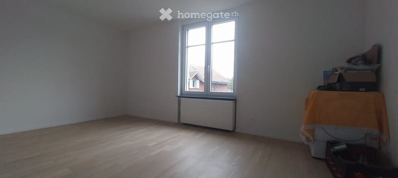 Grosszügige 5.5-Zimmer-Wohnung mit riesiger Terrasse (5)