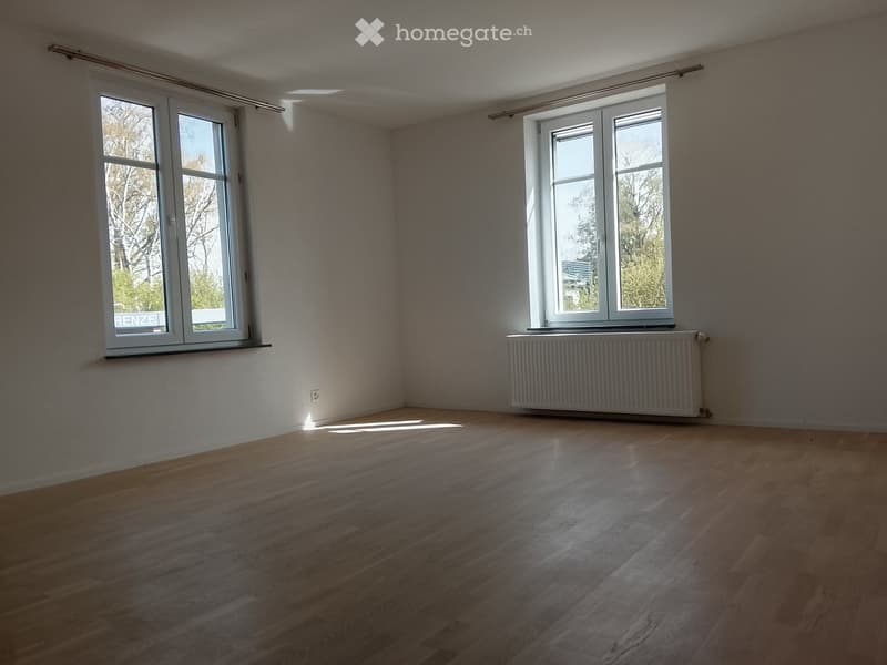 Grosszügige 5.5-Zimmer-Wohnung mit riesiger Terrasse (3)