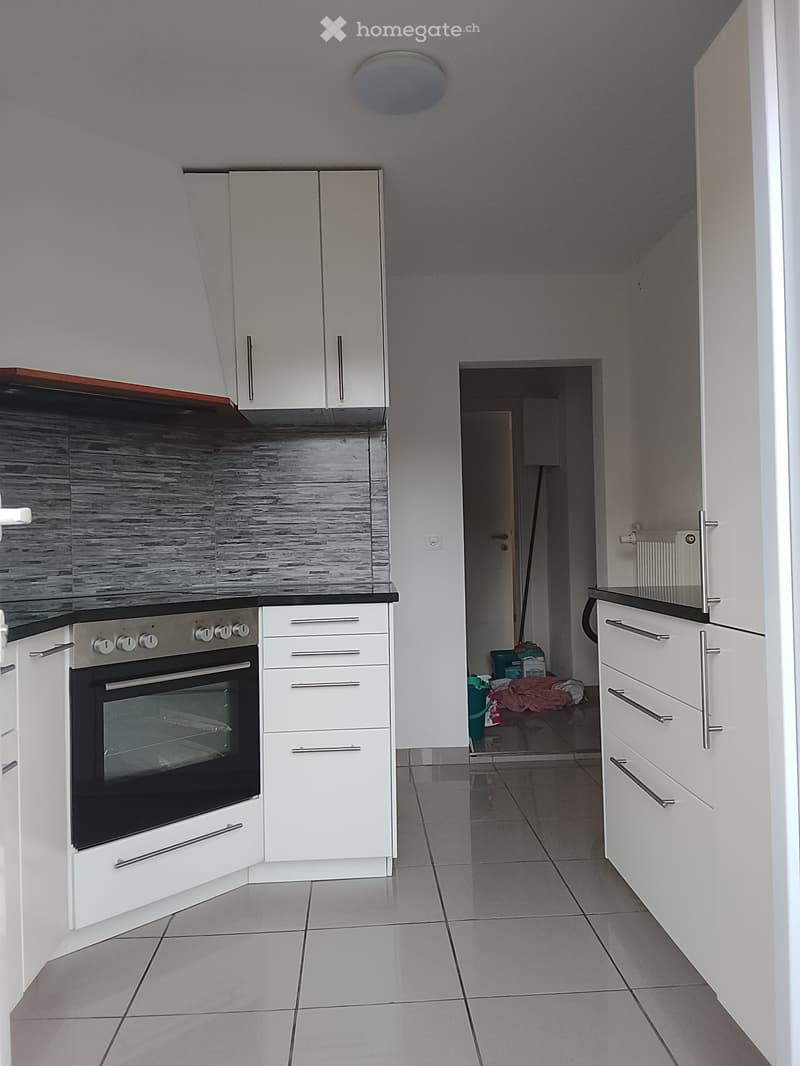 Grosszügige 5.5-Zimmer-Wohnung mit riesiger Terrasse (2)