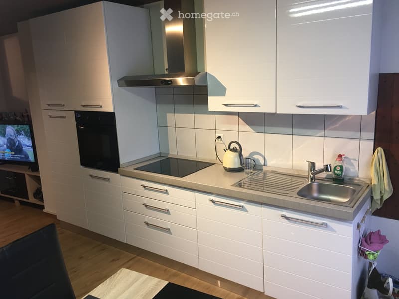 Appartement 3.5 pces. Entièrement rénové. Vieille Ville (5)