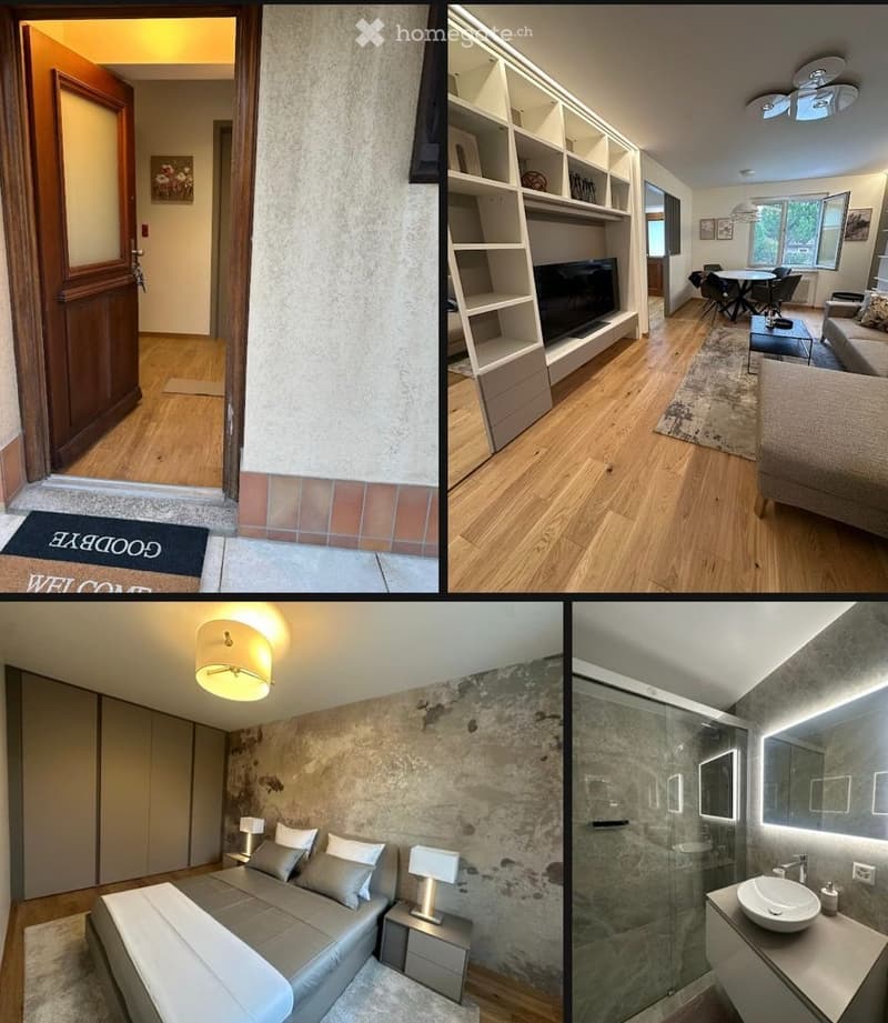 Appartement avec grand jardin à Bernex (2)