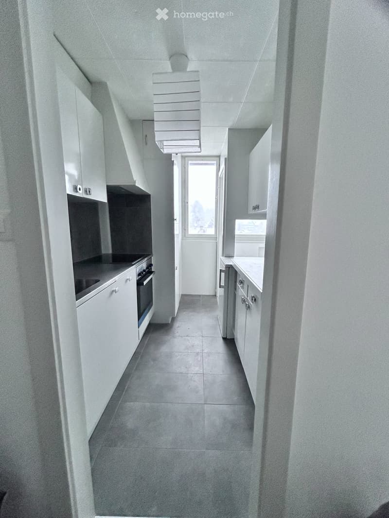 Appartement de 2 pièces au Locle &  terrain extérieur (3)