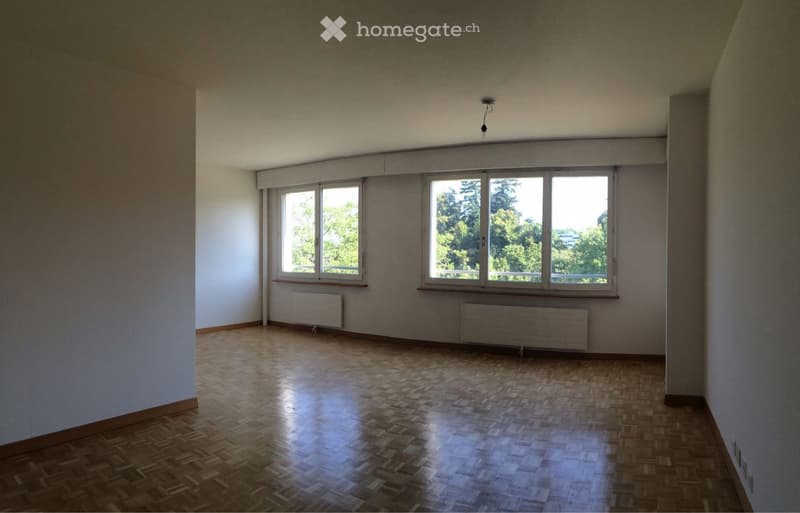 Superbe appartement 3 pièces au Grand-Saconnex (4)