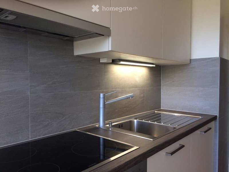 Superbe appartement 3 pièces au Grand-Saconnex (2)