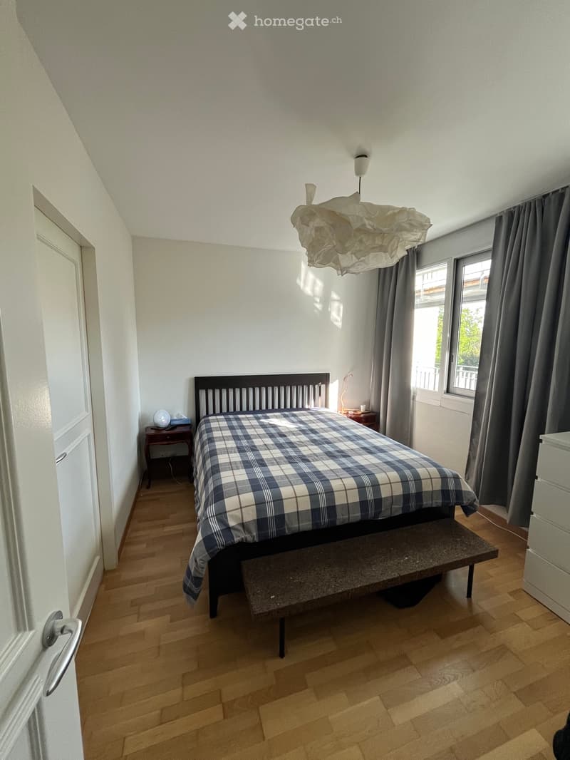 Apartment 3 pièces 1 bed for sublease in Vesenaz (4)