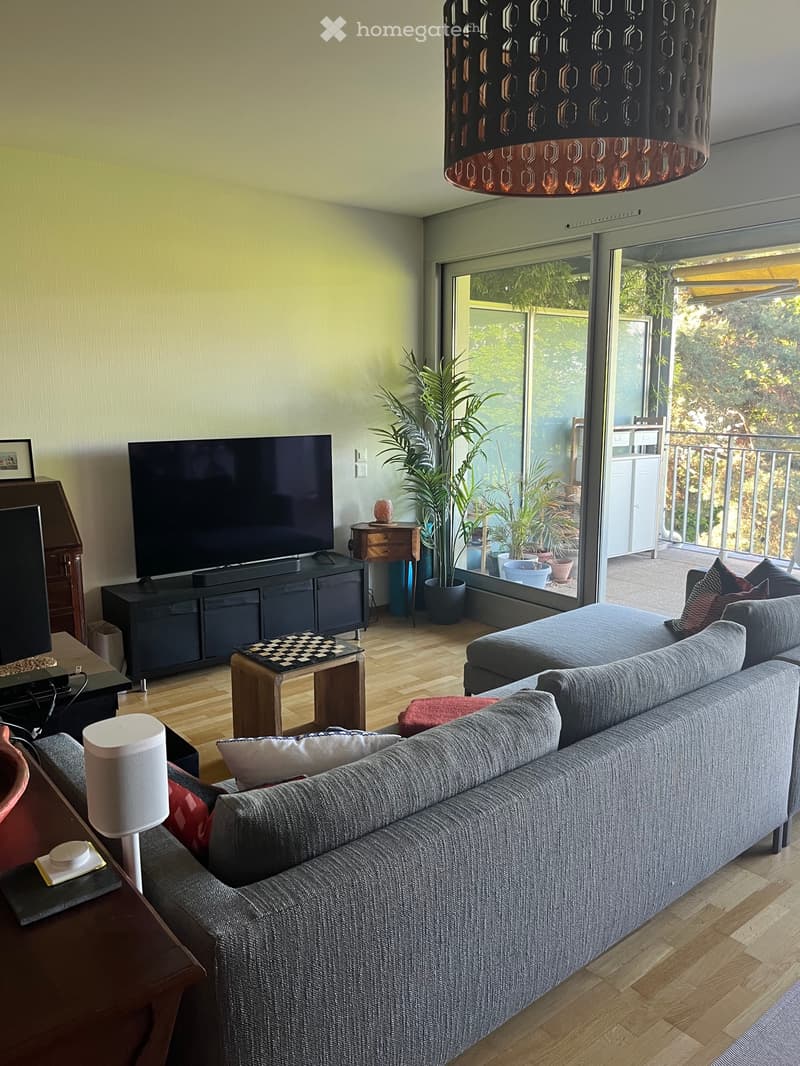 Apartment 3 pièces 1 bed for sublease in Vesenaz (3)
