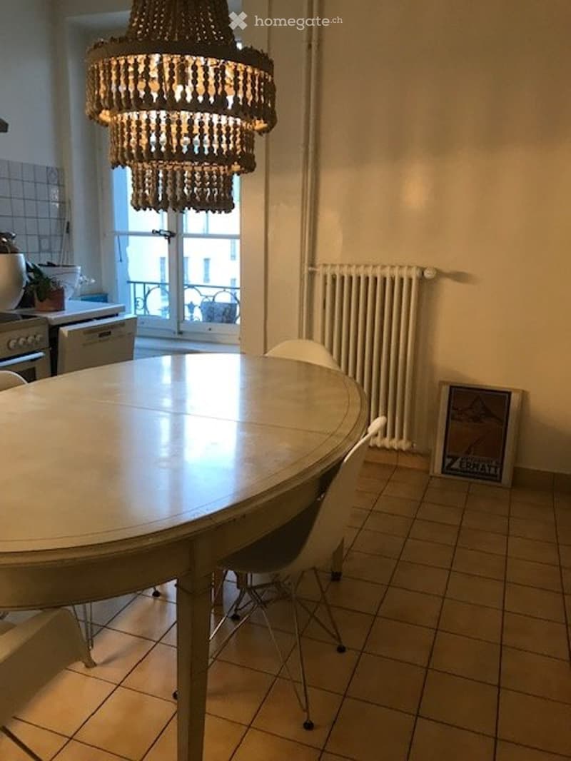 APPARTEMENT A LOUER GENEVE PLAINPALAIS (4)