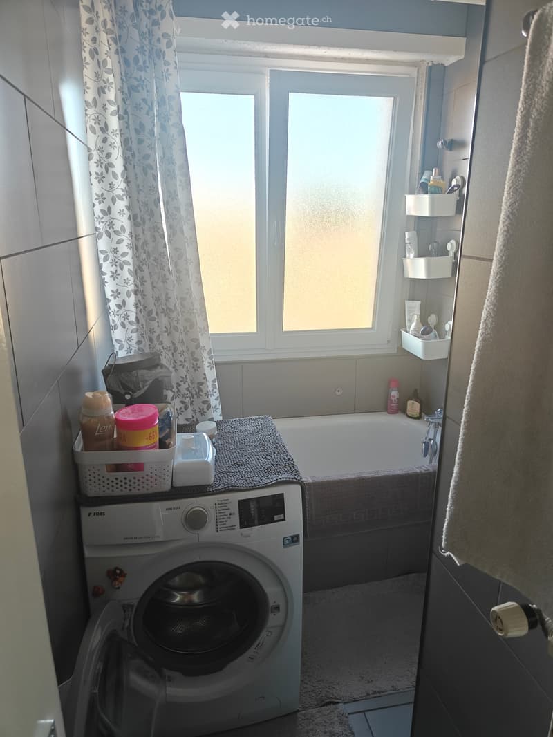 Appartement 4.5p reprise de bail 01.07 2026 (3)
