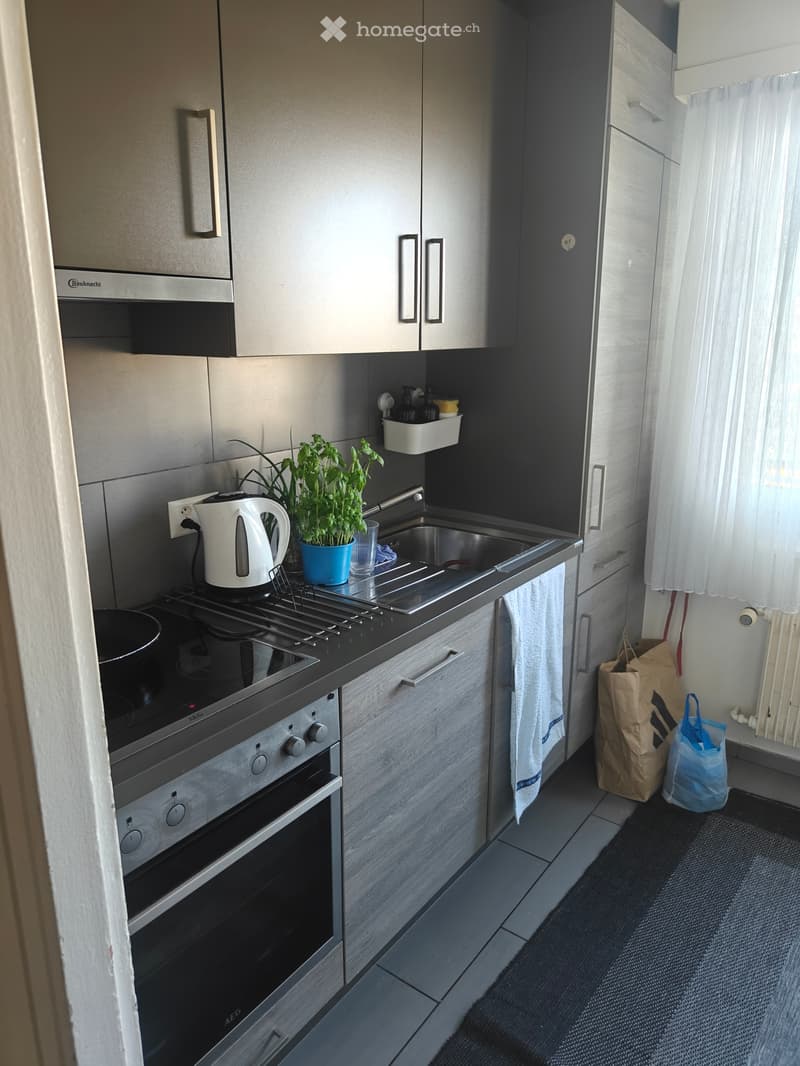 Appartement 4.5p reprise de bail 01.07 2026 (4)