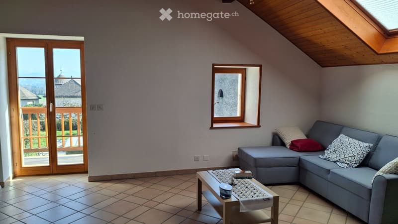 Magnifique appartement à Echichens (5)