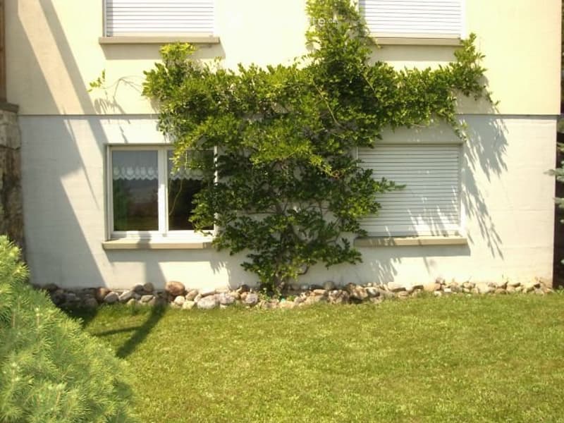 Appartement/studio dans villa (1)