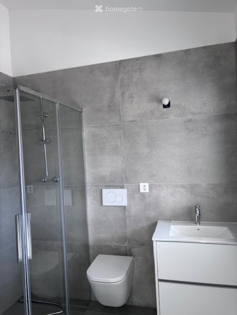 Maison à vendre à 1971 Grimisuat (3)