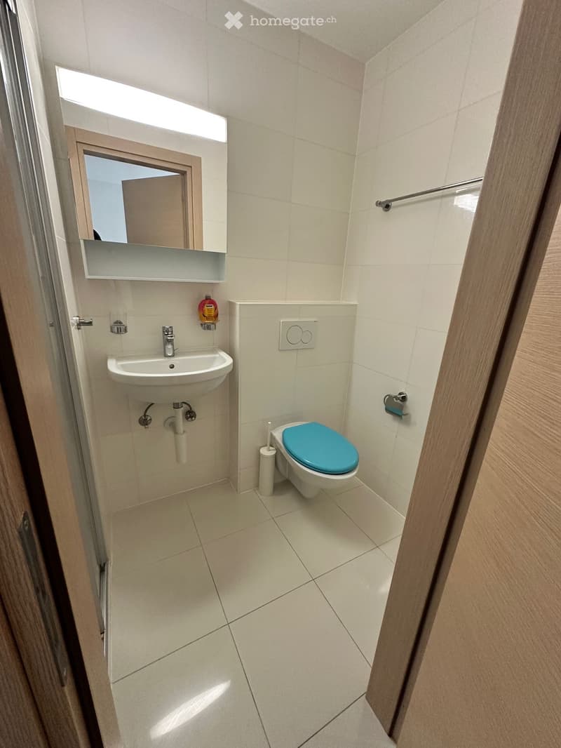 Studio spacieux 1,5 p, avec terrasse, 5 min EPFL/UNIL (2)