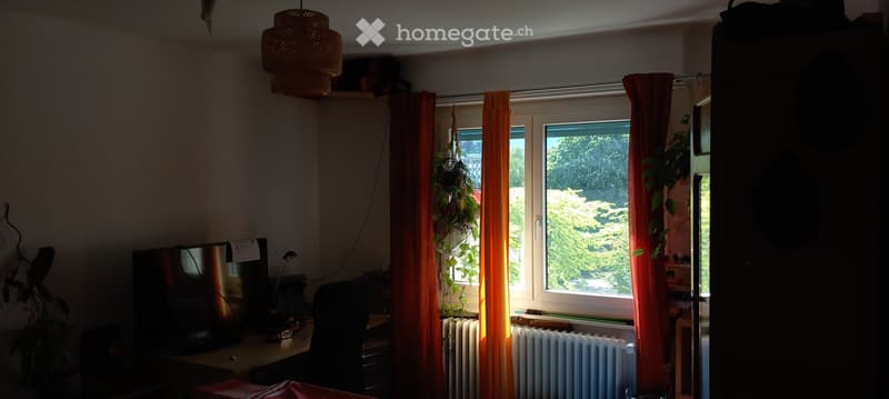 2 Chambres à louer dans un magnifique 4.5 pièces (2)