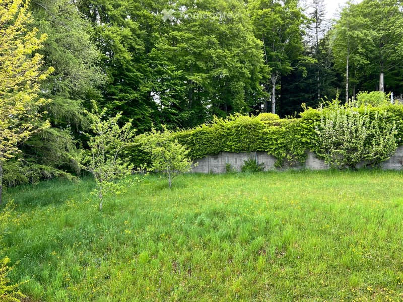 Appartement dans une villa (3)