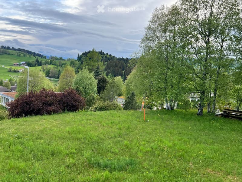 Appartement dans une villa (5)