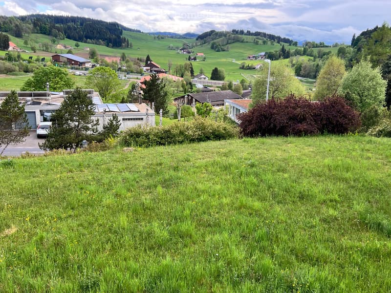 Appartement dans une villa (4)