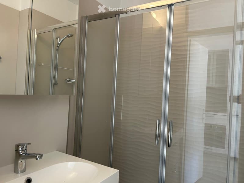 Monolocale moderno con ampi armadi e ottima distribuzione (3)