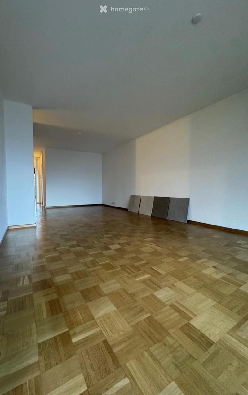 Superbe appartement 4 pièces traversant avec balcon (3)