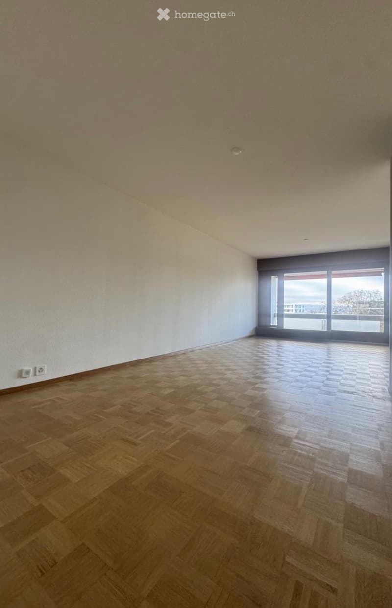 Superbe appartement 4 pièces traversant avec balcon (4)