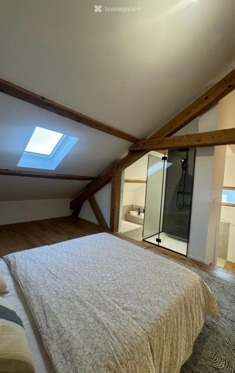 Appartement triplex haut standing totalement rénove (6)