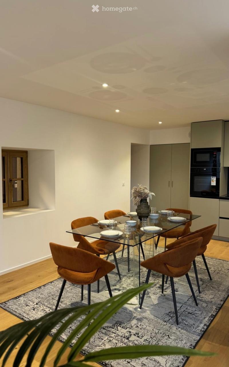 Appartement triplex haut standing totalement rénove (4)
