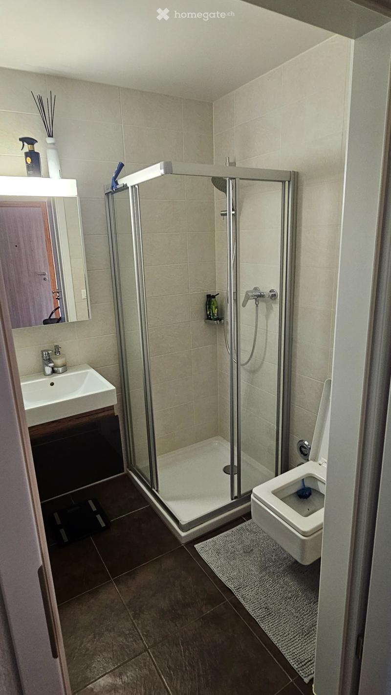 Chambre en Sous Location - ST CERGUE (Vaud) - Dispo 01.0626 (7)