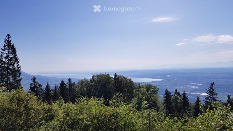 A VENDRE Sainte-Croix- appartement  "clé en main"  3,5 pces (6)